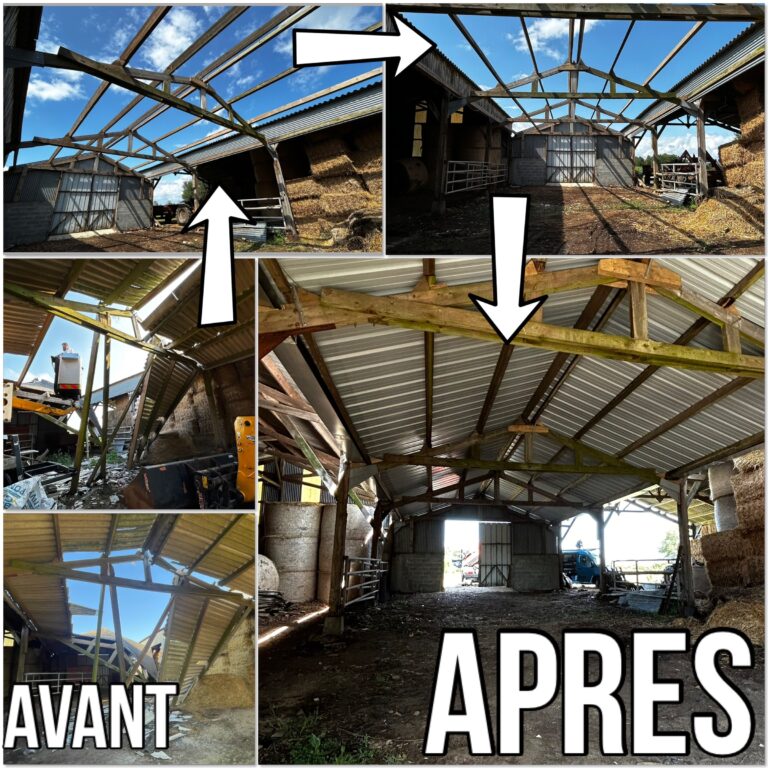 rénovation charpente bois